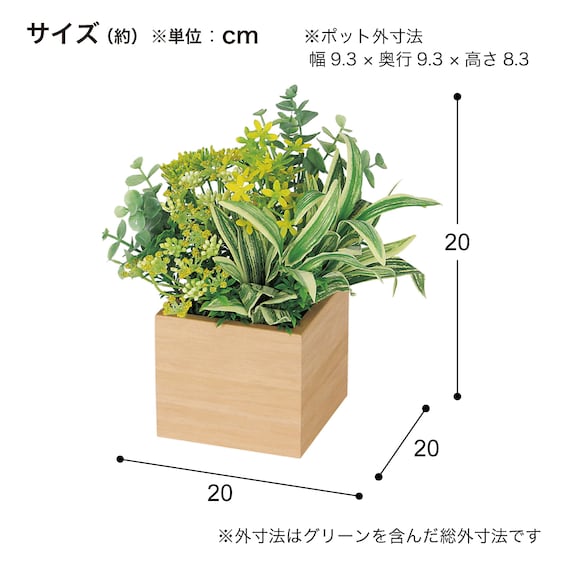 スライダー画像