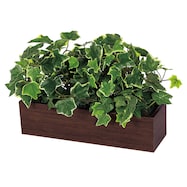 【単品・セット販売】卓上グリーンポット(GR4394 DBR)