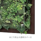 ウォールグリーン 3個セット(GR3341 350角 DBR) 4枚目画像