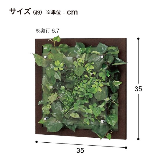 ウォールグリーン 3個セット(GR3341 350角 DBR） 5枚目画像