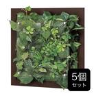 ウォールグリーン 5個セット(GR3341 350角 DBR） 1枚目画像