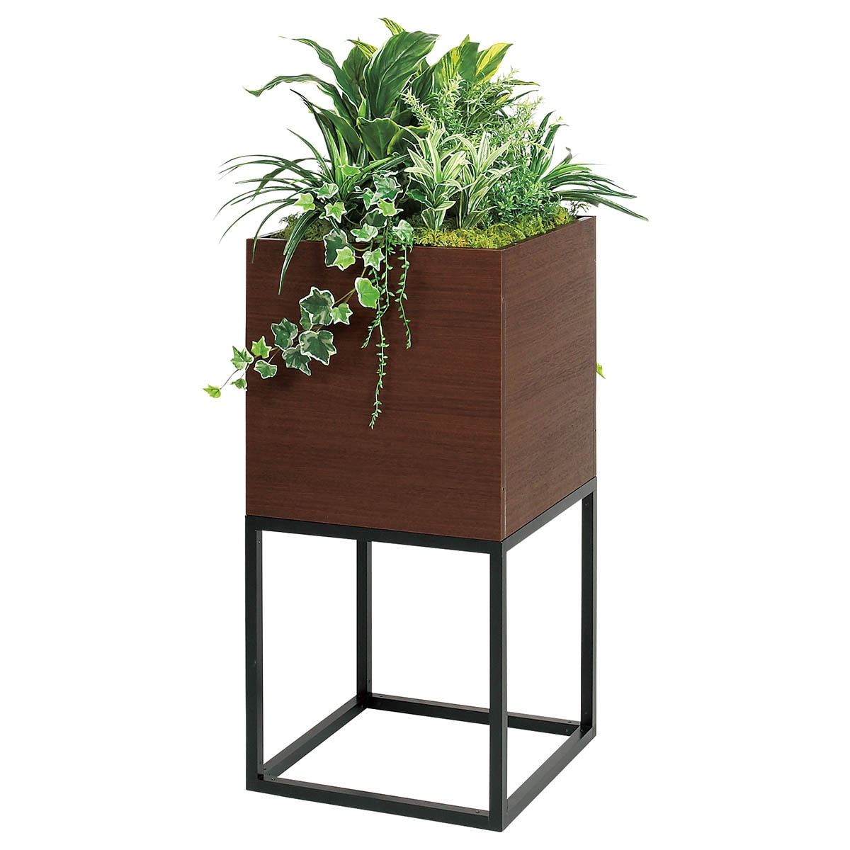 装飾グリーンスタンド 1段(GR2554 DBR) | ニトリネット【公式】 家具