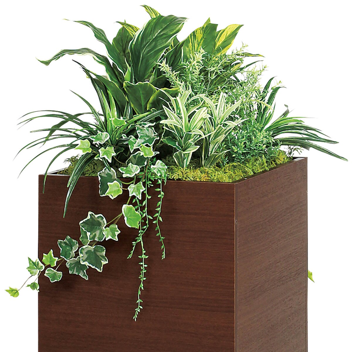 装飾グリーンスタンド 1段(GR2554 DBR) | ニトリネット【公式】 家具