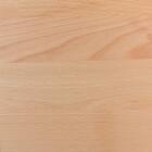 ダイニングテーブル5点セット(Nコレクション T-05 165 NA/C-10 NA/NSF-BE) 9枚目画像