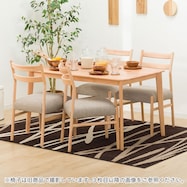 ダイニングテーブル5点セット(Nコレクション T-01 /C-34/AQ)