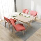 傷・汚れに強いファブリック リビングダイニングテーブル5点セット(リラックスワイド 160 WW/1Pチェア2 NSF WW/OR) 1枚目画像