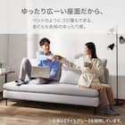 傷・汚れに強い 広い座面のゆったり 1人掛けソファ2台 + シェーズ + ヘッドレスト2本セット 布張りタイプ (MS01 1P×2/シェーズ 肘なし Nシールド LGY) 8枚目画像