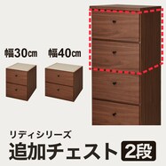 アディショナルチェスト(リディ-2D)