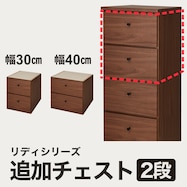 アディショナルチェスト(リディ-2D)