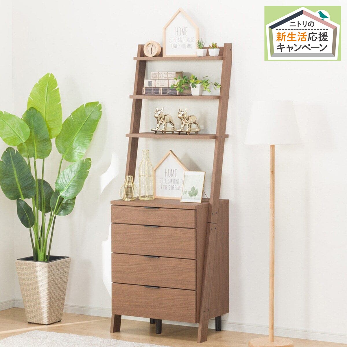 チェストラック エトナ60cr Mbr 通販 ニトリネット 公式 家具 インテリア通販