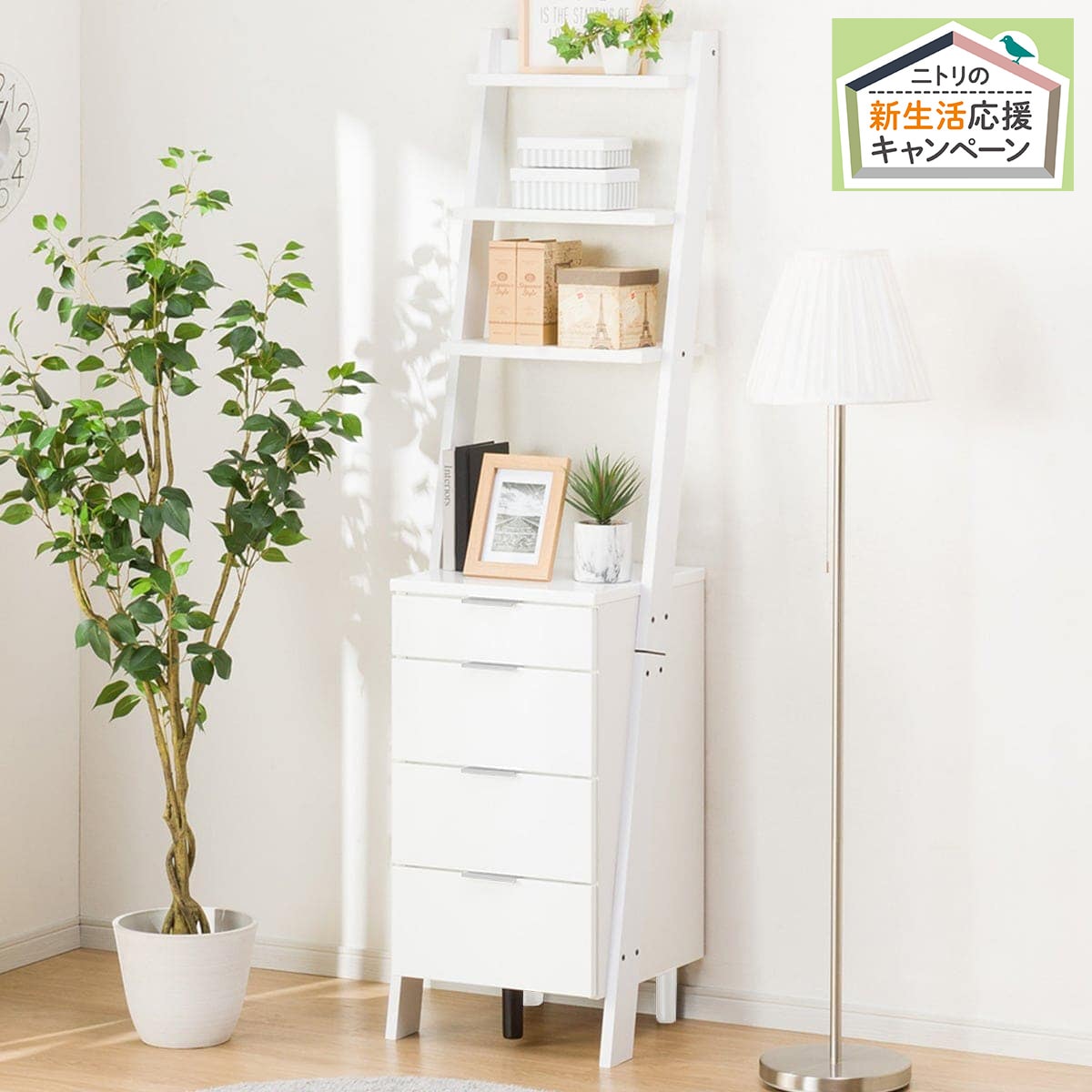 チェストラック エトナ 80cr Bk 通販 ニトリネット 公式 家具 インテリア通販 チェストラック エトナ 80cr Bk 通販 ニトリネット 公式 家具 インテリア通販