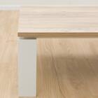 フラットヒーターこたつ(フロットG105VNA) 12枚目画像