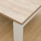 フラットヒーターこたつ(フロットG105VNA) 13枚目画像