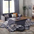 フラットヒーターこたつ(フロットG105VNA) 21枚目画像