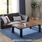 フラットヒーターこたつ(フロットG105VNA) 22枚目画像