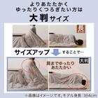 フラットヒーターこたつ(フロットG105VNA) 24枚目画像