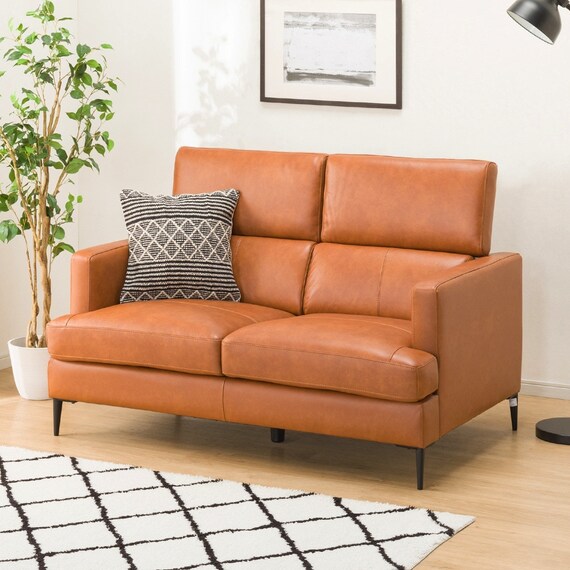 2人掛けソファ 本革(一部合成皮革)タイプ (サザーラC2 BR) 1枚目画像