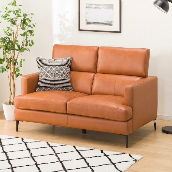 2人掛けソファ 本革(一部合成皮革)タイプ (サザーラC2 BR) 1枚目画像