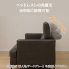 2人掛けソファ 本革(一部合成皮革)タイプ (サザーラC2 BR) 3枚目画像