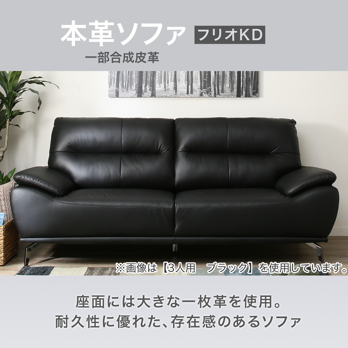 2人用ソファ(フリオKD BK)通販 | ニトリネット【公式】 家具 