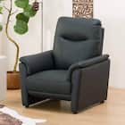 1人掛けソファ 本革(一部合成皮革)タイプ (ナルタKD GR) 1枚目画像