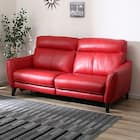 3人掛けソファ 本革(一部合成皮革)タイプ (アネーロ NB RE) 5枚目画像