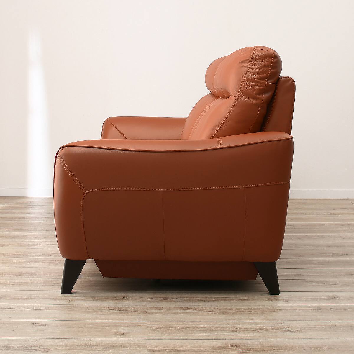 2人掛けソファ 本革(一部合成皮革)タイプ (アネーロ SK BR) | ニトリ