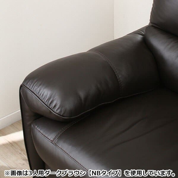 2人掛けソファ 本革(一部合成皮革)タイプ (ジャファー SK DBR