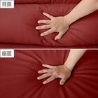 2人掛け右電動リクライニングソファ 本革(一部合成皮革)タイプ (クローナ スタンダードタイプ NB RE) 10枚目画像