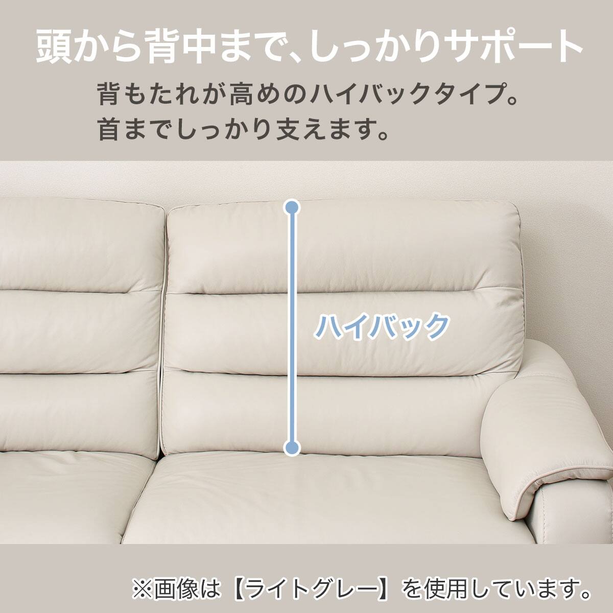 2人掛けソファ 本革(一部合成皮革)タイプ (クローナ SK MO) | ニトリ