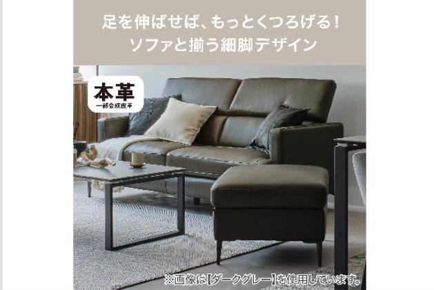 ｽﾂｰﾙ ｻｻﾞｰﾗ ﾎﾝｶﾜC2 DGY | ニトリネット【公式】 家具・インテリア通販