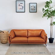 ソファ 本革(一部合成皮革)タイプ (FR01)