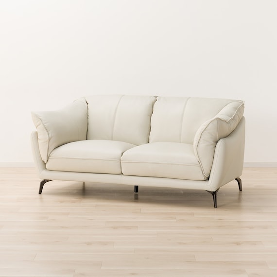 2人掛けソファ 本革(一部合成皮革)タイプ (FR01 IV) 1枚目画像