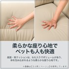 傷・汚れに強い 2人掛けソファ 合皮タイプ (WE01 IV) 5枚目画像