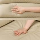 2人掛け電動リクライニングソファ(Nビリーバ2 革BE) 23枚目画像