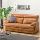 3人掛けソファ 本革タイプ (Z278KD BR) 1枚目画像