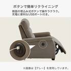 1人用布張りソファ(Nビリーバ MF DBR) 5枚目画像