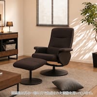 リクライニングパーソナルチェア (Dメッシュ DBR)
