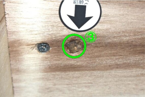 センターテーブル FK02C MBR 33枚目画像