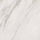 センターテーブル(ステイン9848 WH) 24枚目画像