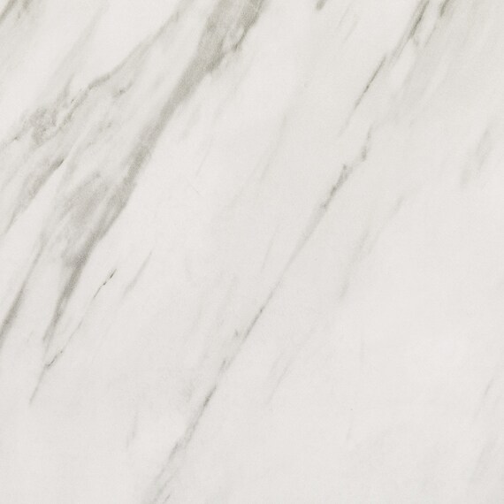 センターテーブル(ステイン9848 WH) 24枚目画像