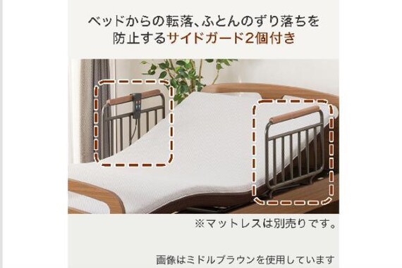 ﾋ)ﾃﾞﾝﾄﾞｳ ﾗｲｽﾞ2 3M-F LBR 5枚目画像