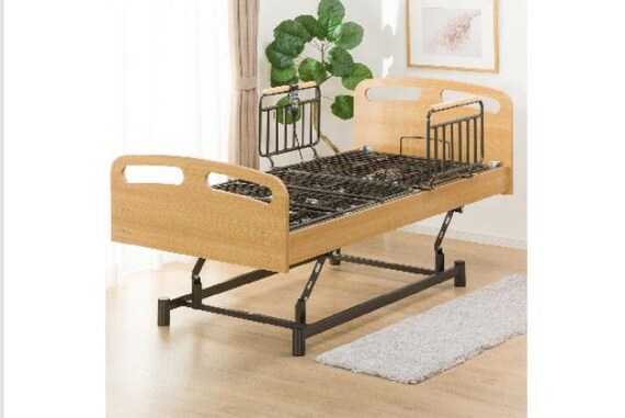 ヒ)デンドウ ライズ2 3M-F LBR 6枚目画像