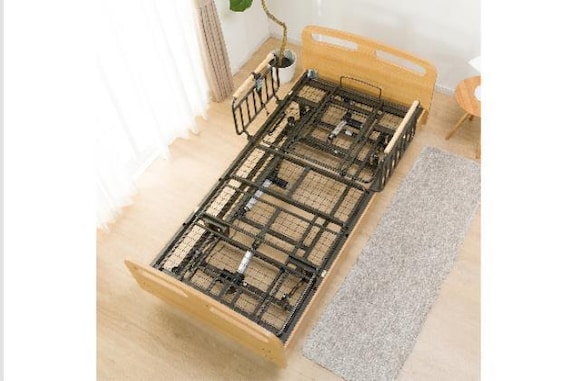 ヒ)デンドウ ライズ2 3M-F LBR 7枚目画像