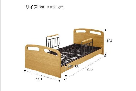 ﾋ)ﾃﾞﾝﾄﾞｳ ﾗｲｽﾞ2 3M-F LBR 18枚目画像
