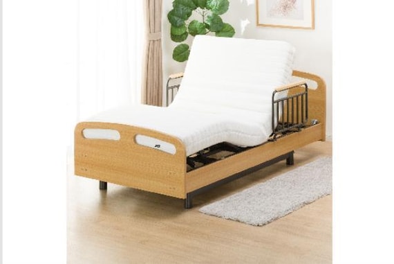 ヒ)デンドウ ライズ2 3M-F LBR 19枚目画像