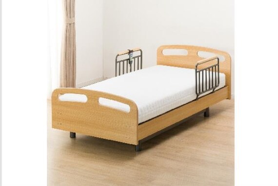 ヒ)デンドウ ライズ2 3M-F LBR 22枚目画像