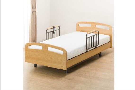 ﾋ)ﾃﾞﾝﾄﾞｳ ﾗｲｽﾞ2 3M-F LBR 23枚目画像