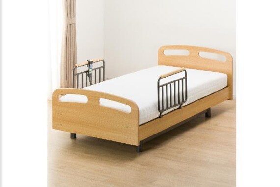 ヒ)デンドウ ライズ2 3M-F LBR 24枚目画像