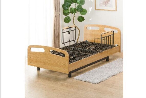 ﾋ)ﾃﾞﾝﾄﾞｳ ﾗｲｽﾞ2 3M-F LBR 1枚目画像